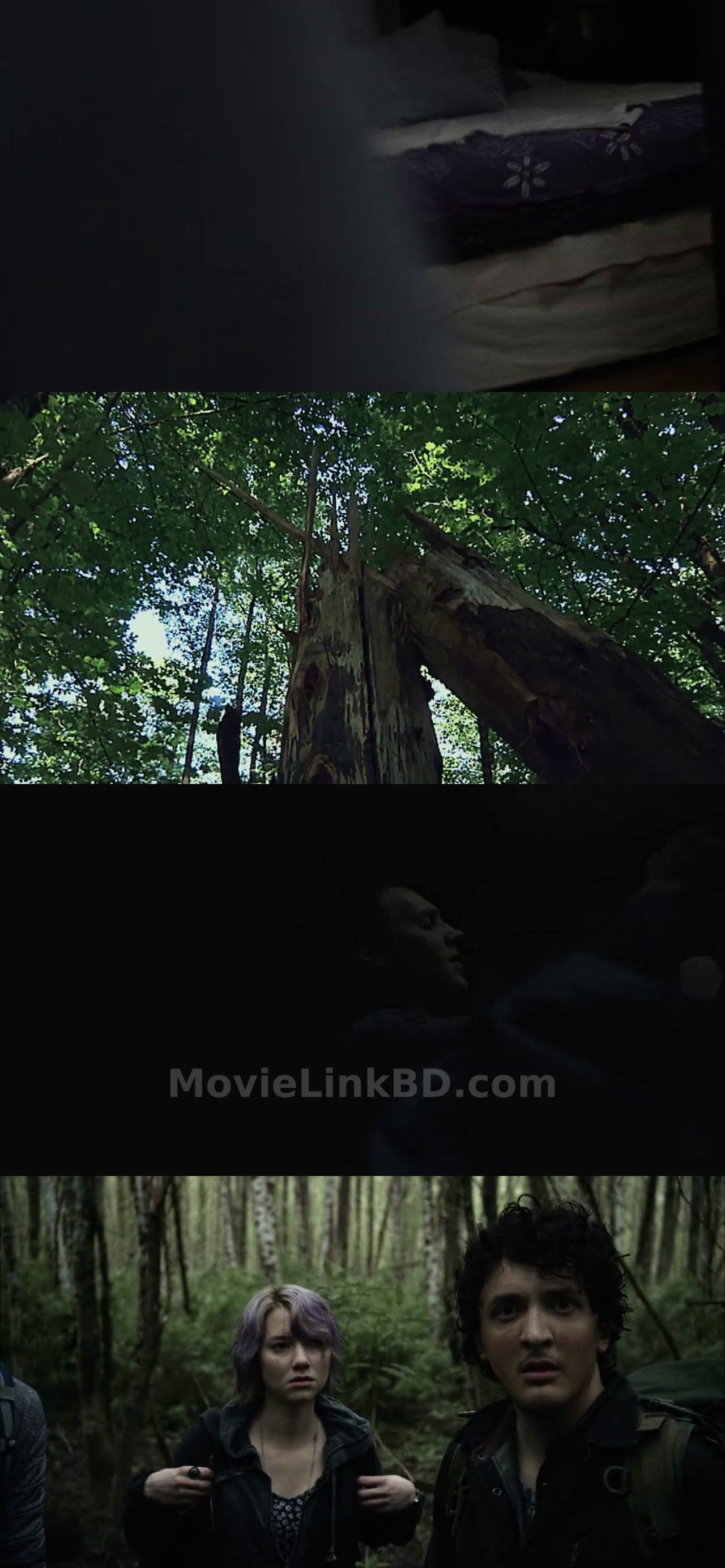 Blair Witch (2016) &bull; English on MovieLinkBD Movie