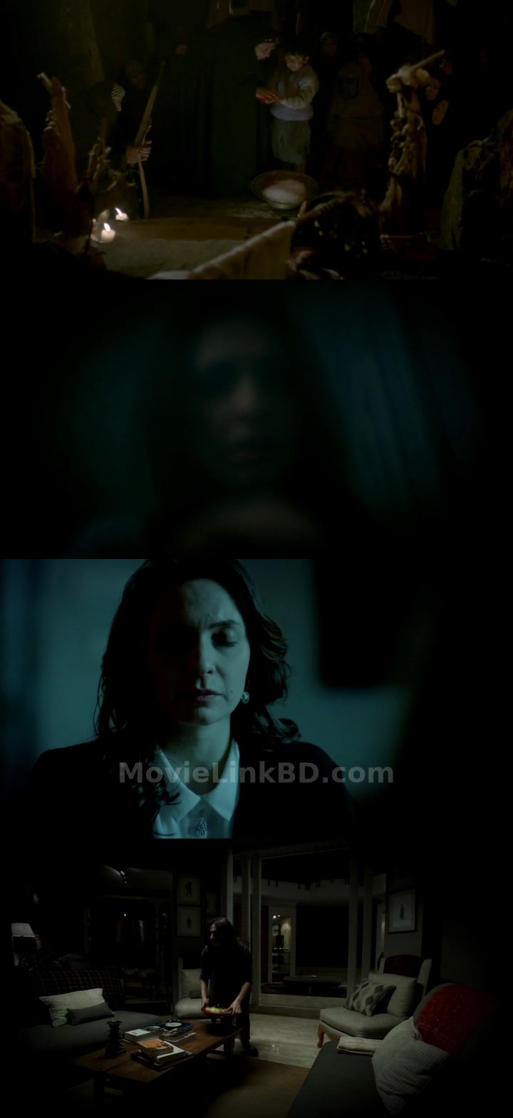 Dabbe 5 : Curse of the Jinn  Bangla Subtitle (2014) &bull; Turkish on MovieLinkBD Movie