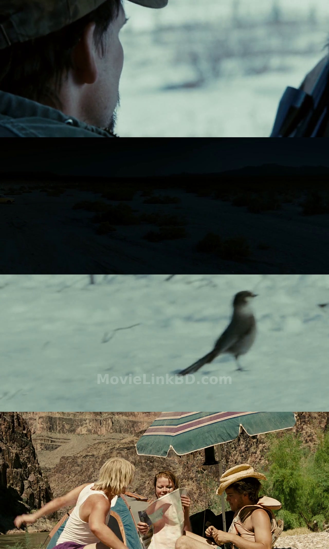 Into the Wild (2007) &bull; Hindi, English, Dual Audio on MovieLinkBD Movie