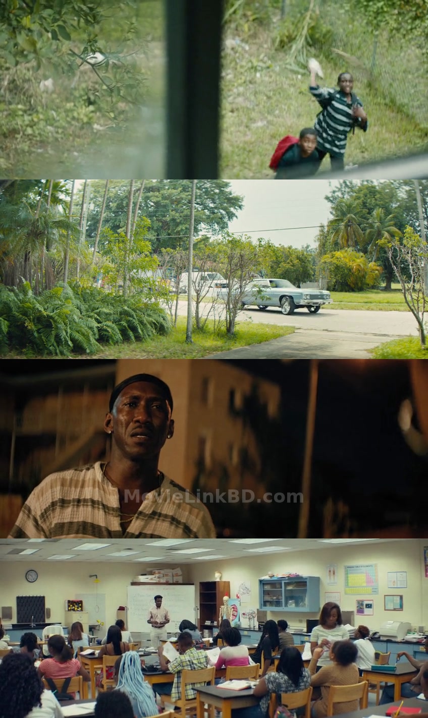 Moonlight (2016) &bull; English on MovieLinkBD Movie