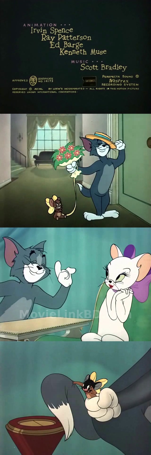 Tom and jerry -Bangla Dubbed ORG-Epi 1-48- Added-Low file size✅ (1940) &bull; Bangla Dubbed on MovieLinkBD Episode 3