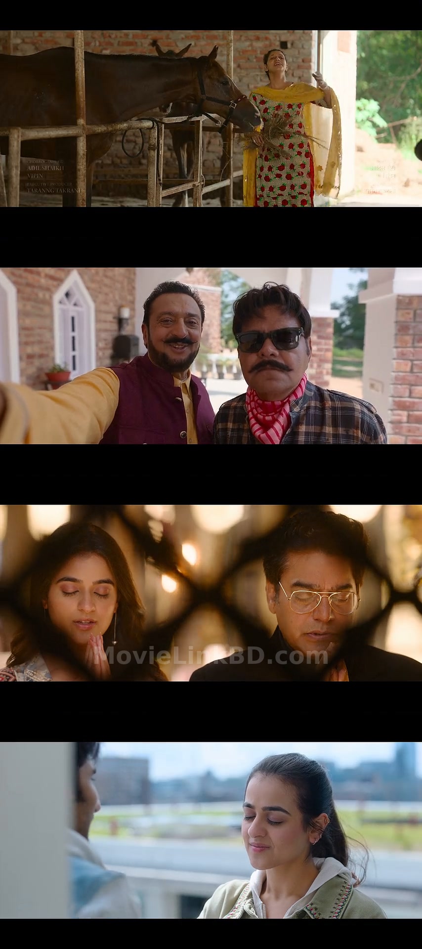 Heer Express  Full HD (2025) &bull; Hindi on MovieLinkBD Movie