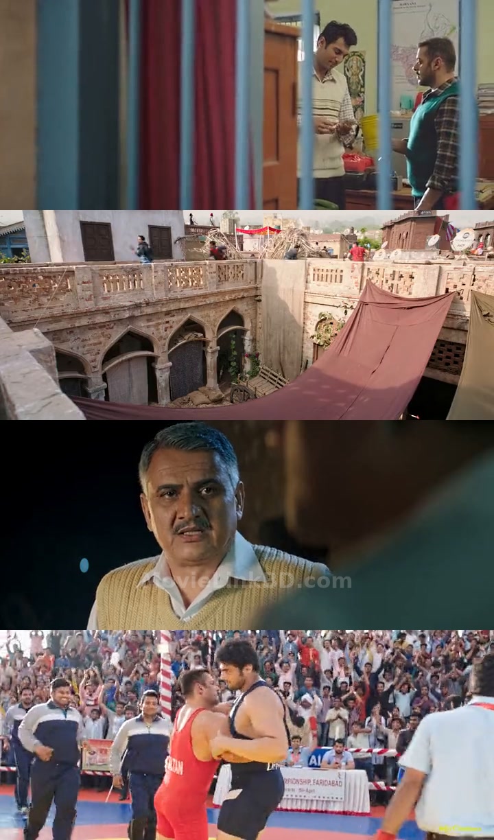 Sultan (2016) &bull; Hindi on MovieLinkBD Movie