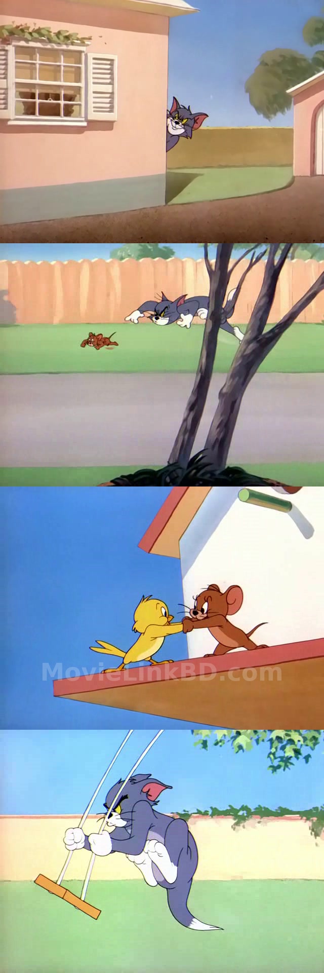 Tom and jerry -Bangla Dubbed ORG-Epi 1-48- Added-Low file size✅ (1940) &bull; Bangla Dubbed on MovieLinkBD Episode 8