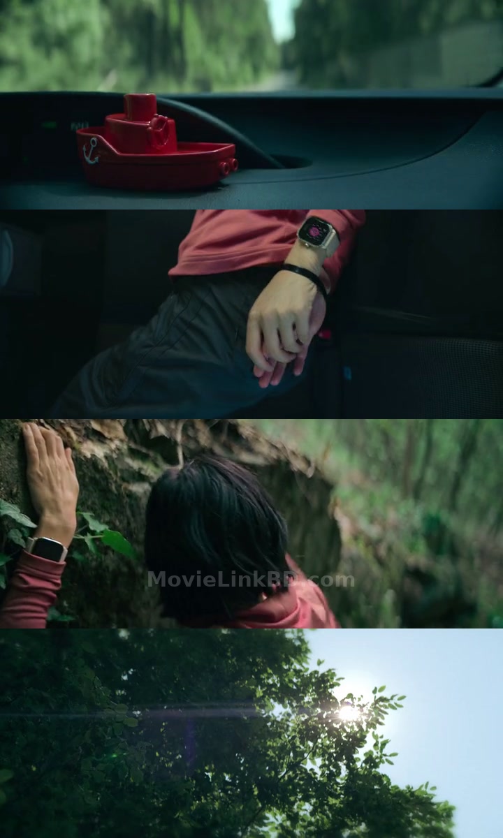Don't Move  [ORG Hindi] (2024) &bull; Hindi, English Dual Audio on MovieLinkBD Movie