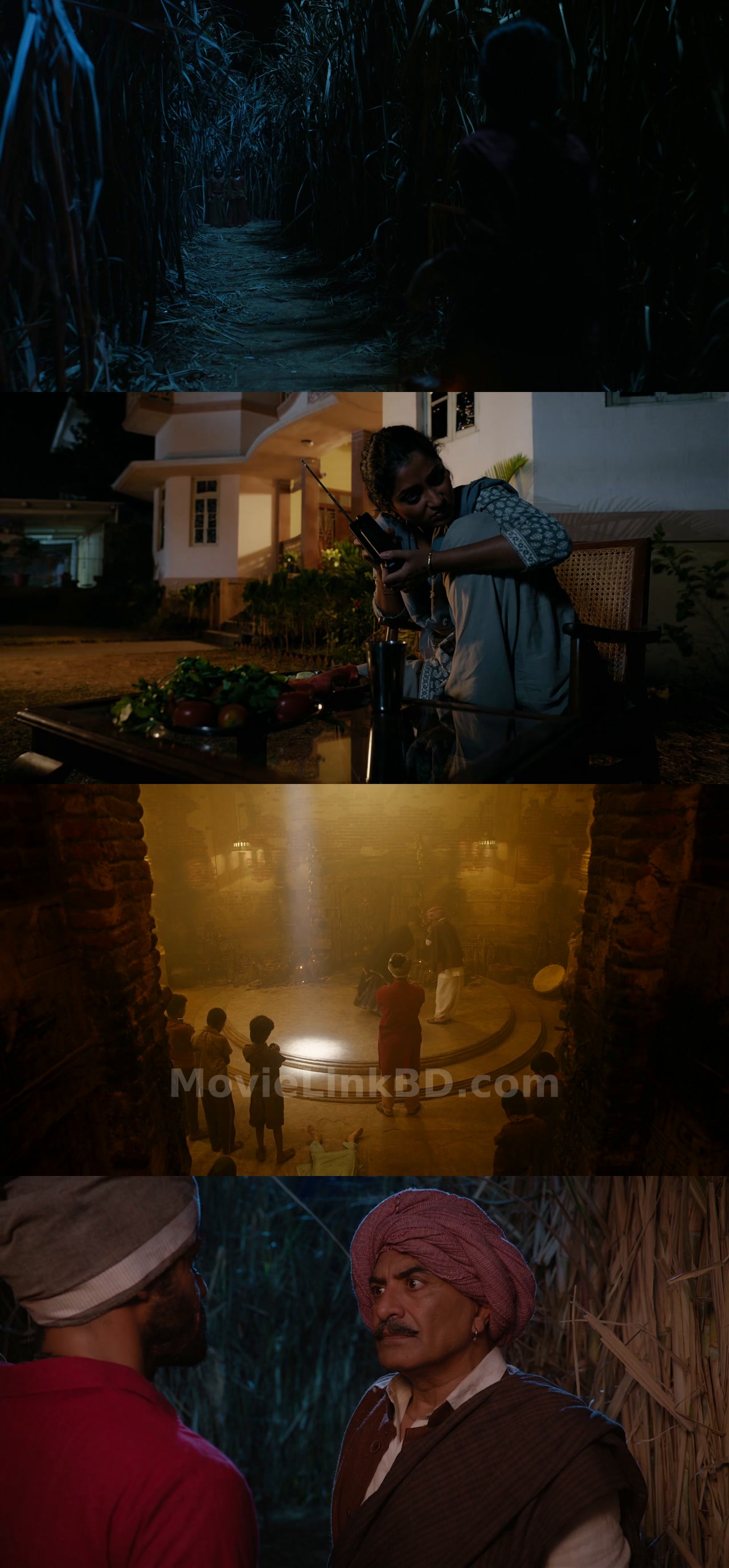 Chhorii 2 (2025) &bull; Hindi on MovieLinkBD Movie