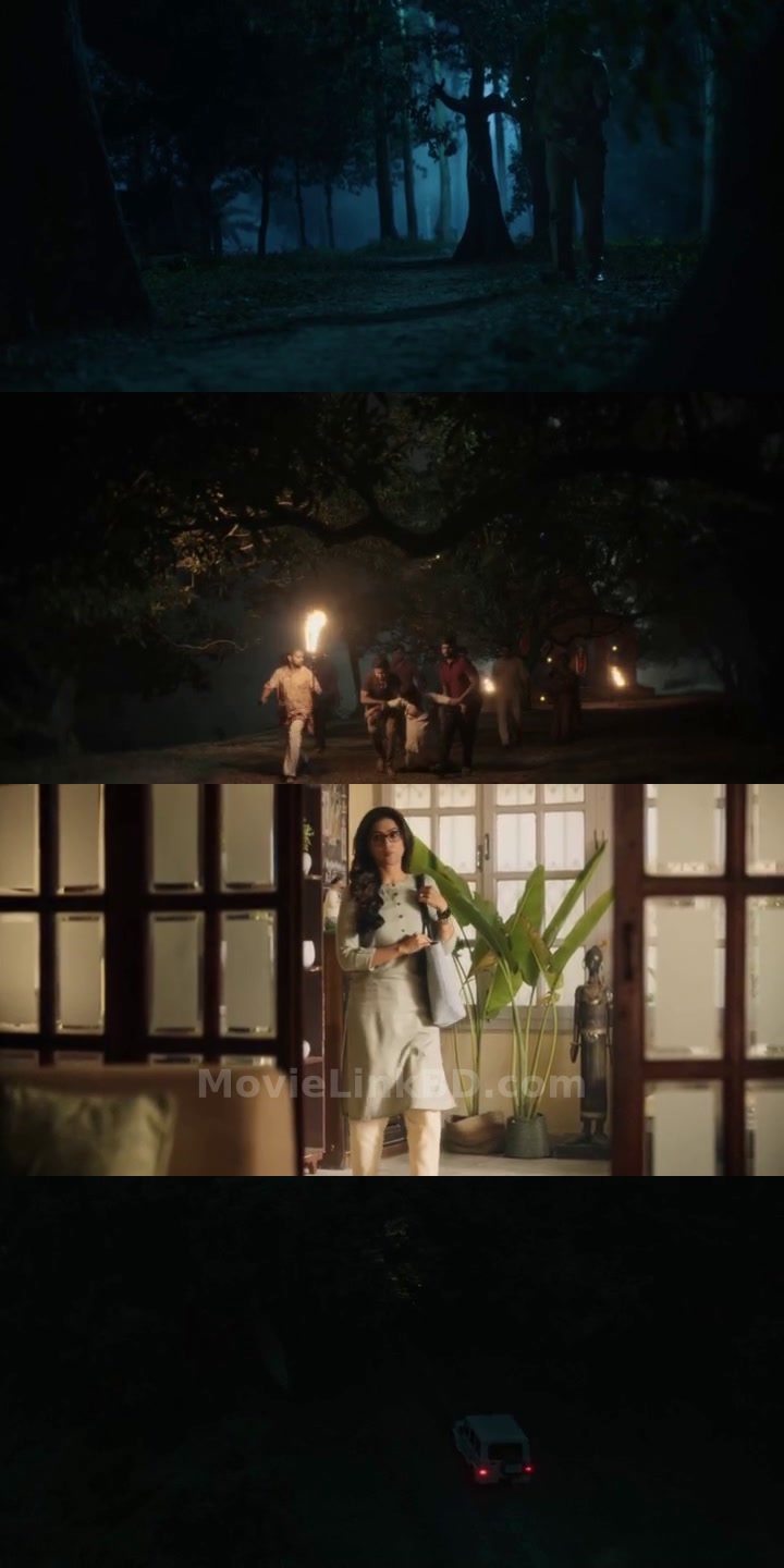 Nikosh Chhaya  S02 Complete (2026) &mdash; S02 &bull; Bangla on MovieLinkBD Series