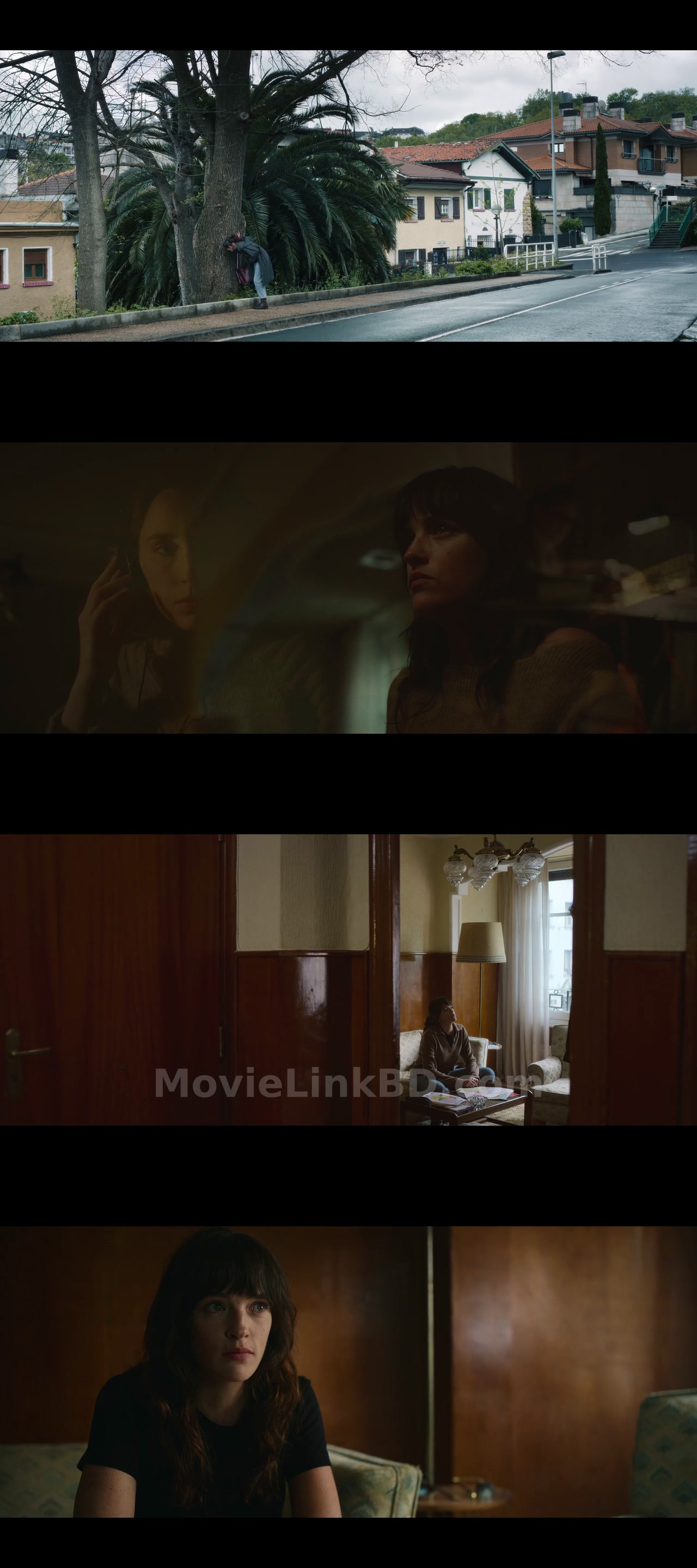 She Walks in Darkness  Hindi ORG (2025) &bull; Hindi, English, Dual, Audio on MovieLinkBD Movie