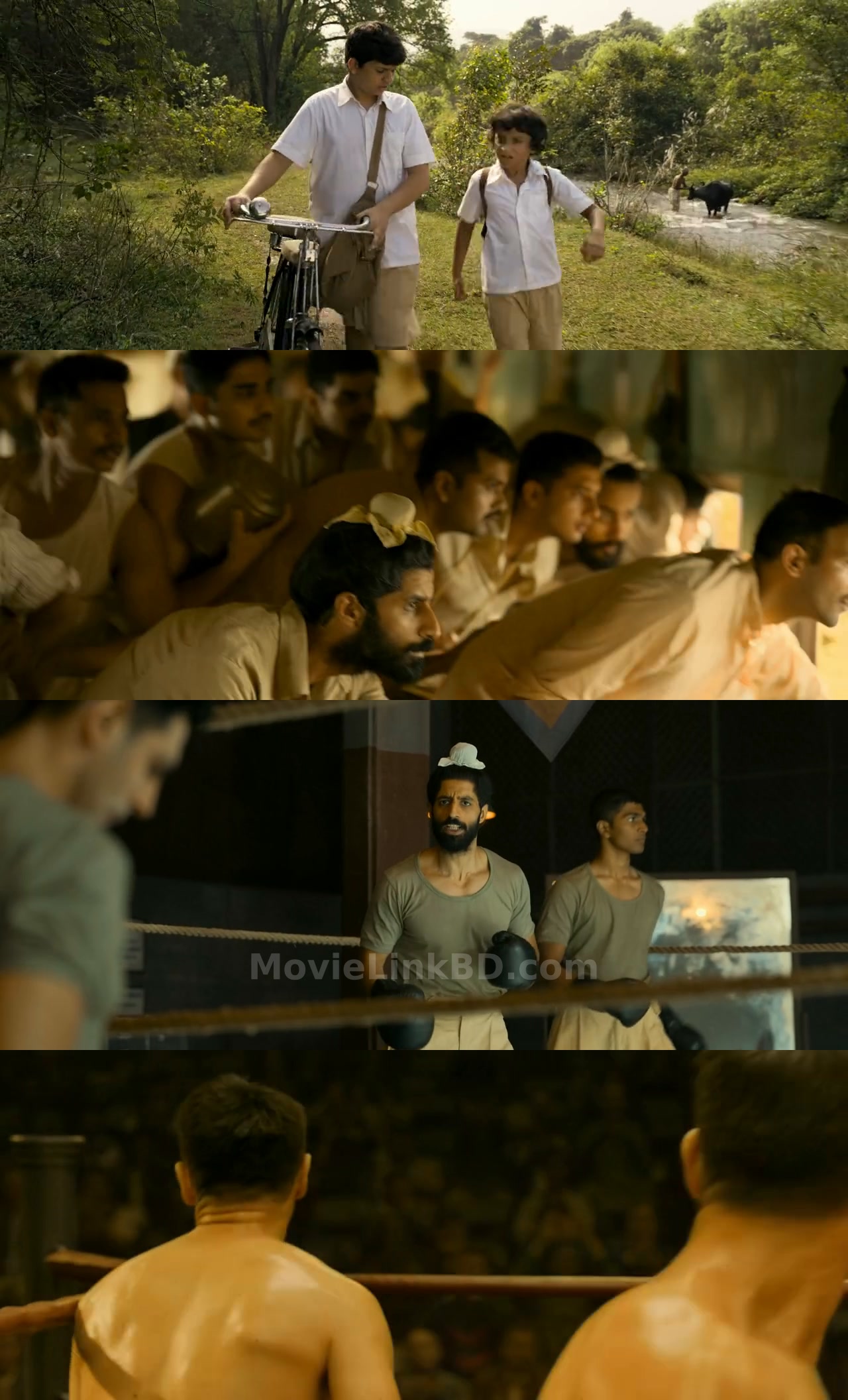 Chandu Champion  Full HD (2024) &bull; Hindi on MovieLinkBD Movie