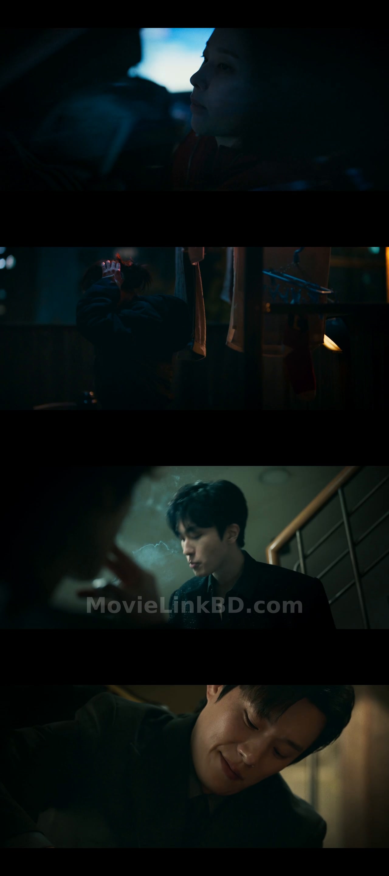 Project Y  Full HD Hindi ORG (2025) &bull; Korean + Hindi on MovieLinkBD Movie
