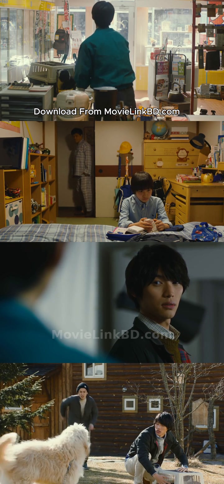 The Travelling Cat Chronicles  Full HD (2018) &bull; japanese on MovieLinkBD Movie