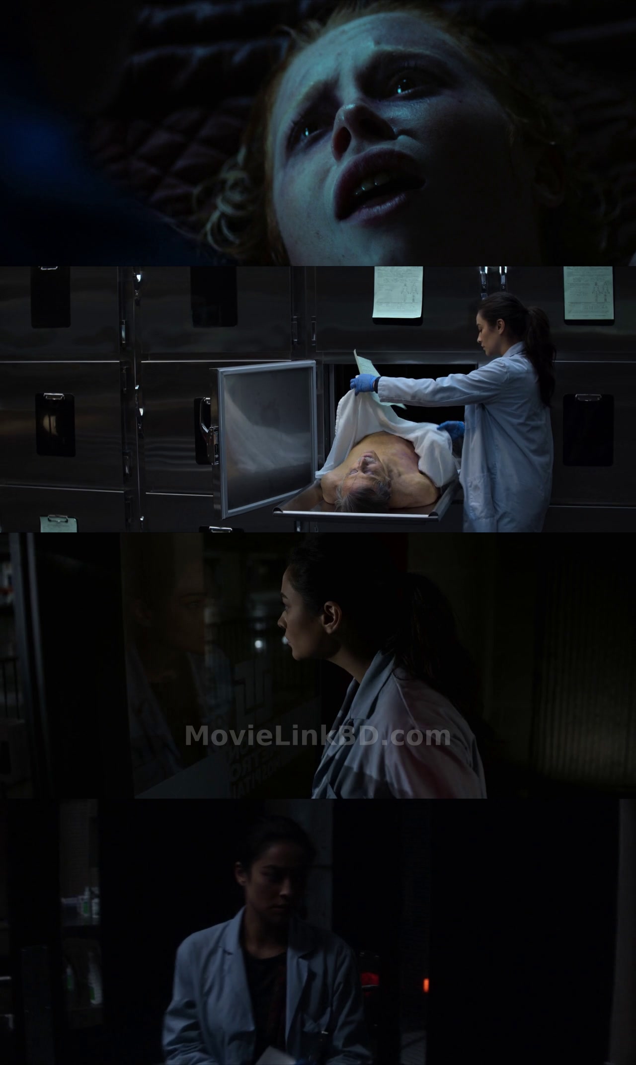The Possession of Hannah Grace (2018) &bull; Hindi + English on MovieLinkBD Movie