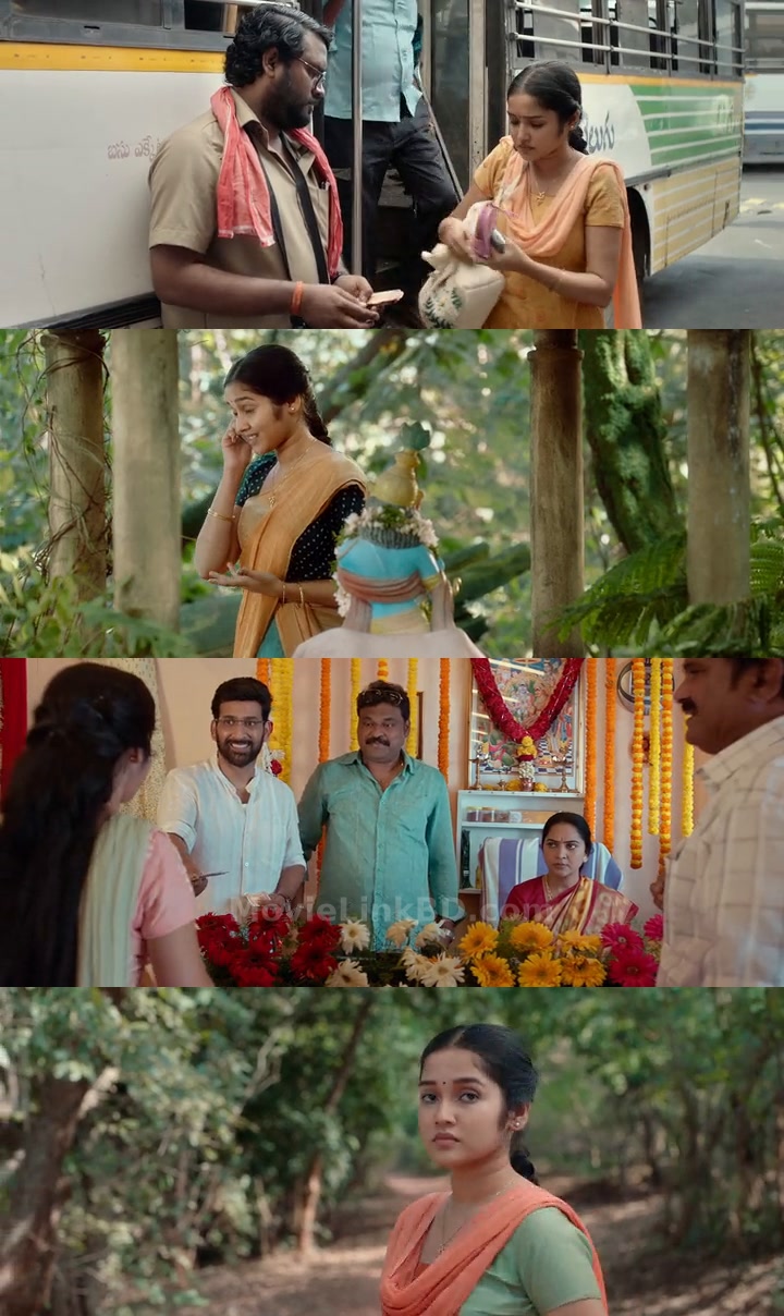 Butta Bomma  - Hindi Added✅ (2023) &bull; Hindi + Telugu + Dual Audio on MovieLinkBD Movie