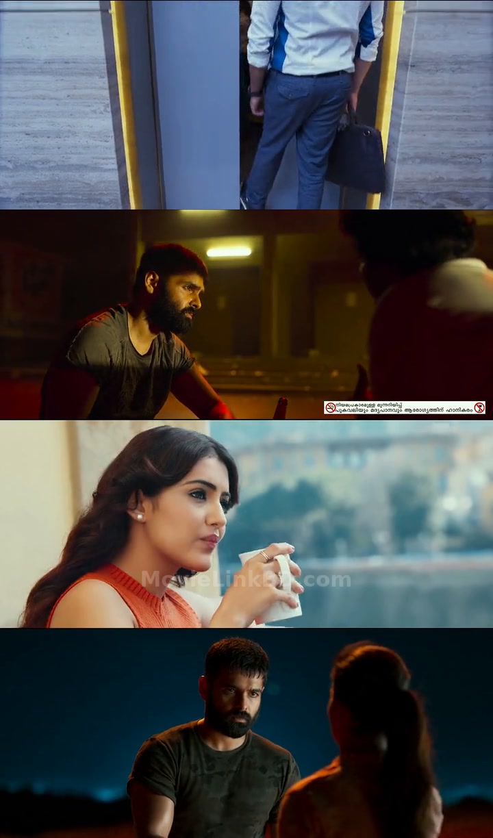 Red (2021) &bull; Hindi, Telugu, Dual Audio on MovieLinkBD Movie