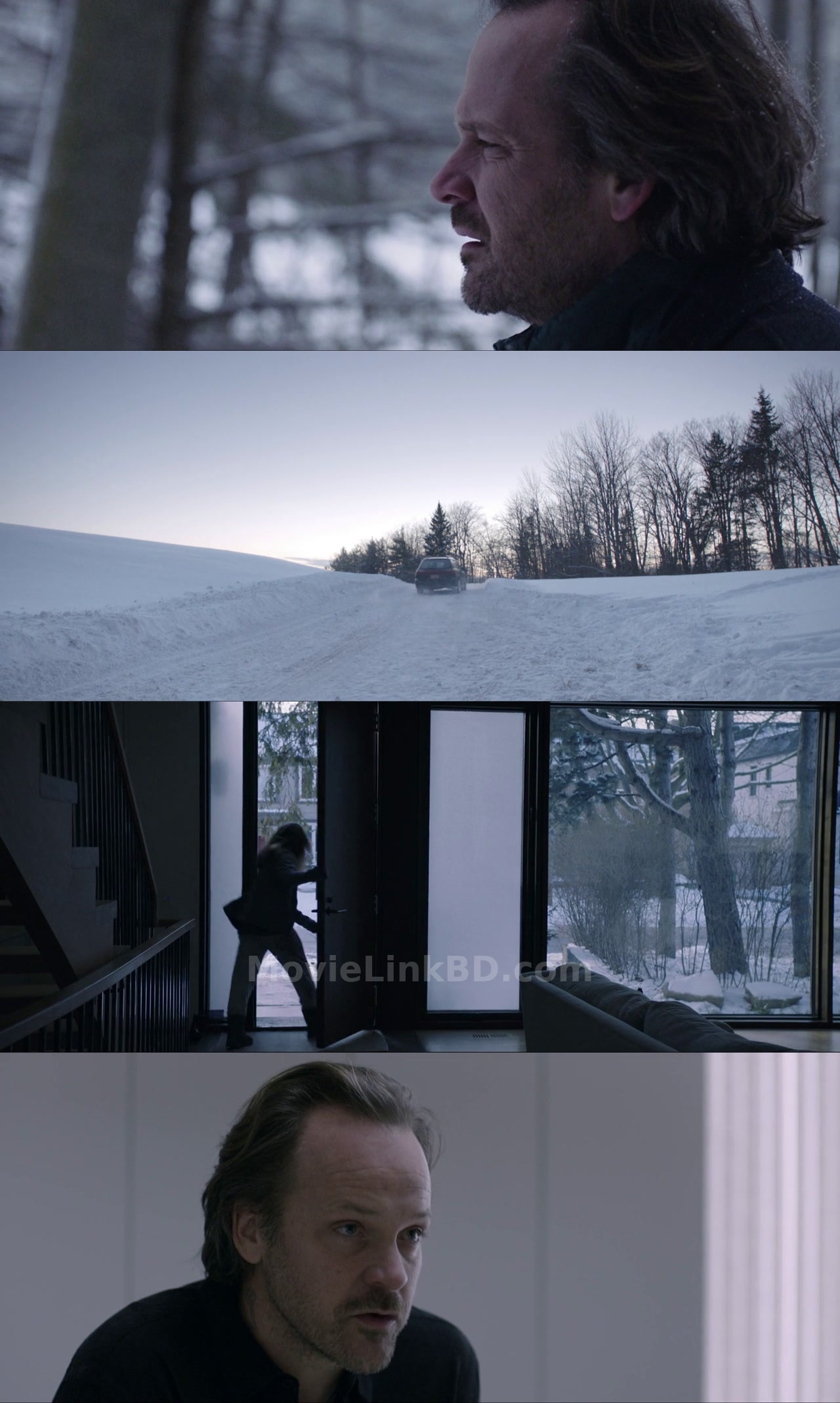 The Lie (2018) &bull; English with ESub on MovieLinkBD Movie