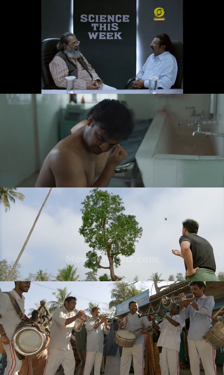 Minnal Murali  - Fixed✅ (2021) &bull; Hindi + Multi Audio on MovieLinkBD Movie