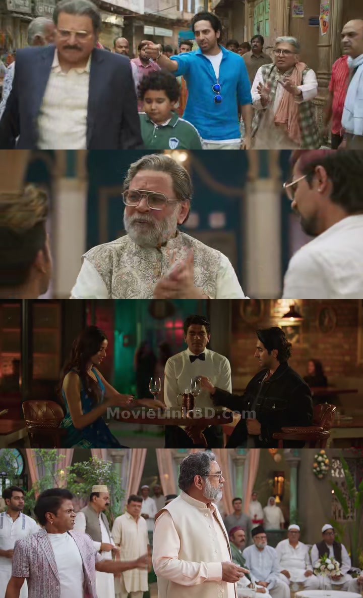 Dream Girl 2  Full HD (2023) &bull; Hindi on MovieLinkBD Movie