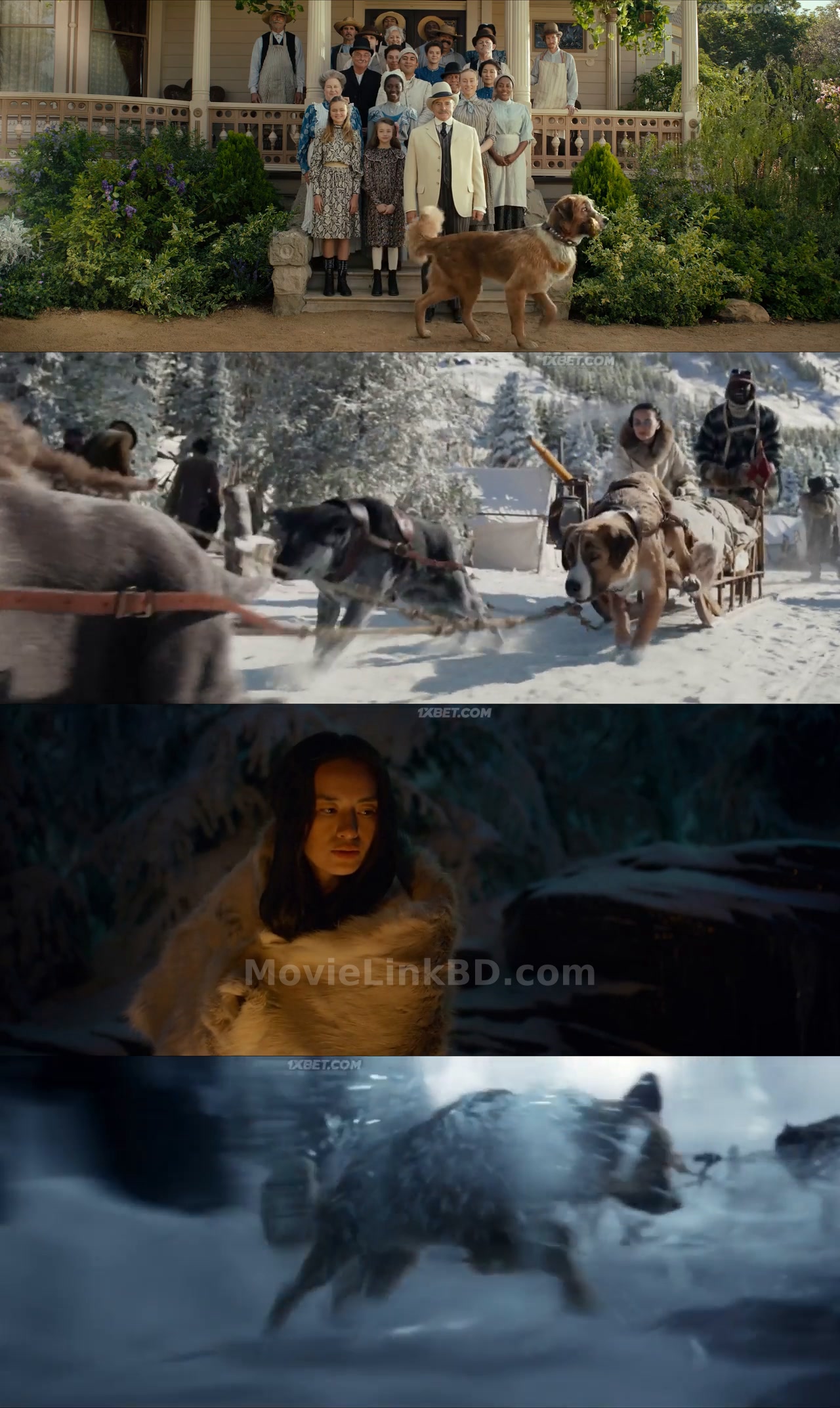 The Call of the Wild (2020) &bull; English on MovieLinkBD Movie