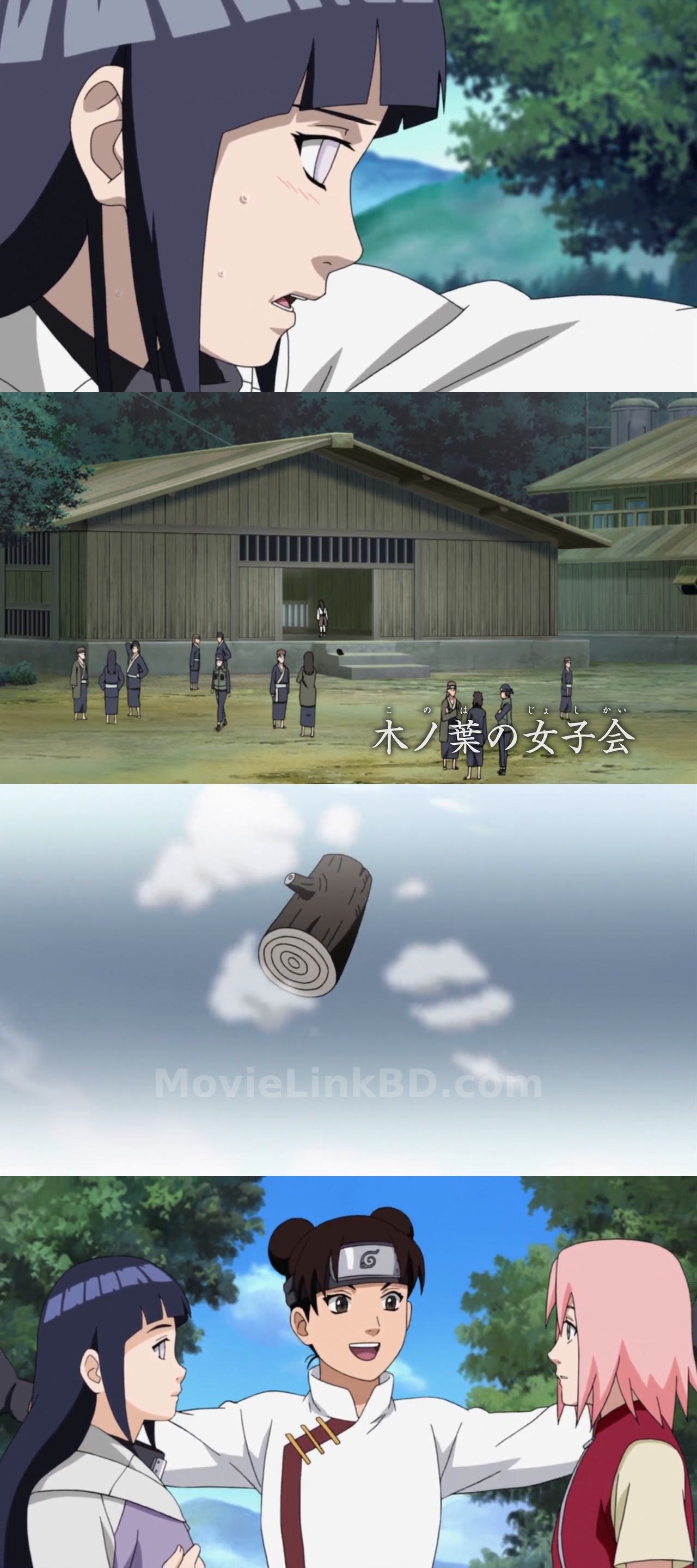 Naruto: Shippuden  S011 Ep 221-242 Hindi Dubbed (2007) &mdash; S01 &bull; Hindi Dual Audio on MovieLinkBD Episode 232