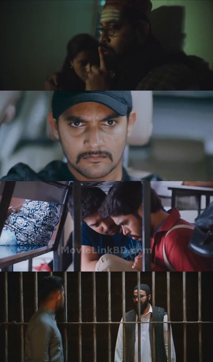 Operation Gold Fish  - Mission Gold Fish (2019) &bull; Telugu + Hindi on MovieLinkBD Movie
