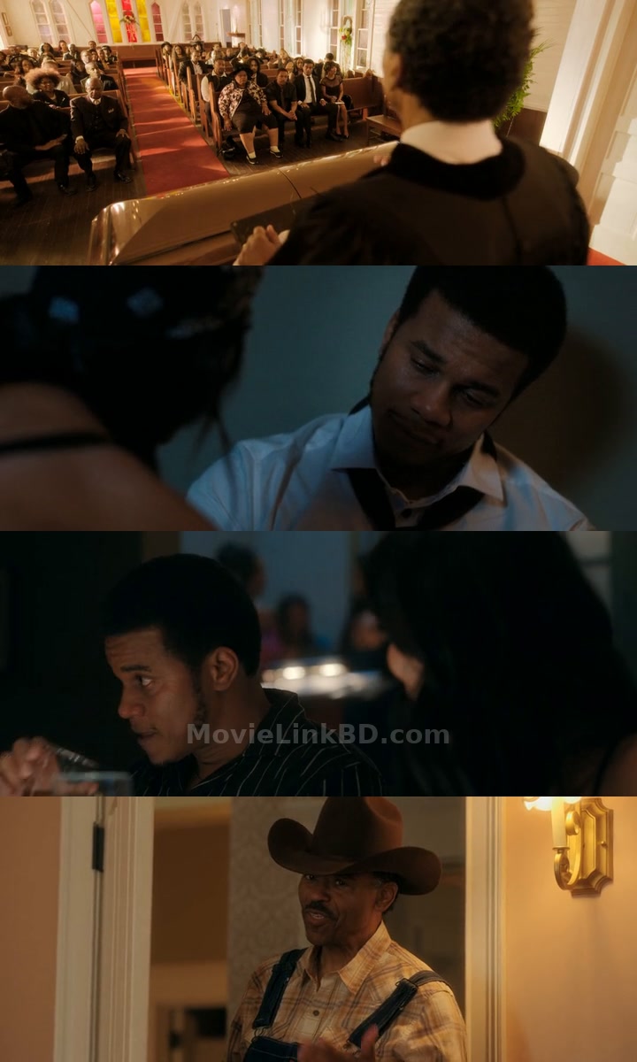 Tyler Perry's Divorce in the Black (2024) Hindi Download | MovieLinkBD TV Movie
