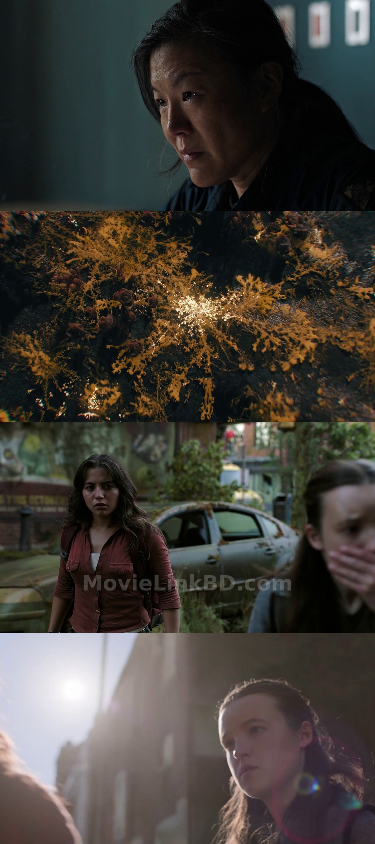 The Last of Us  S02 Epi 1-7 Added [Hindi ORG] (2025) &mdash; S02 &bull; Hindi, English, Multi Audio on MovieLinkBD Episode 5