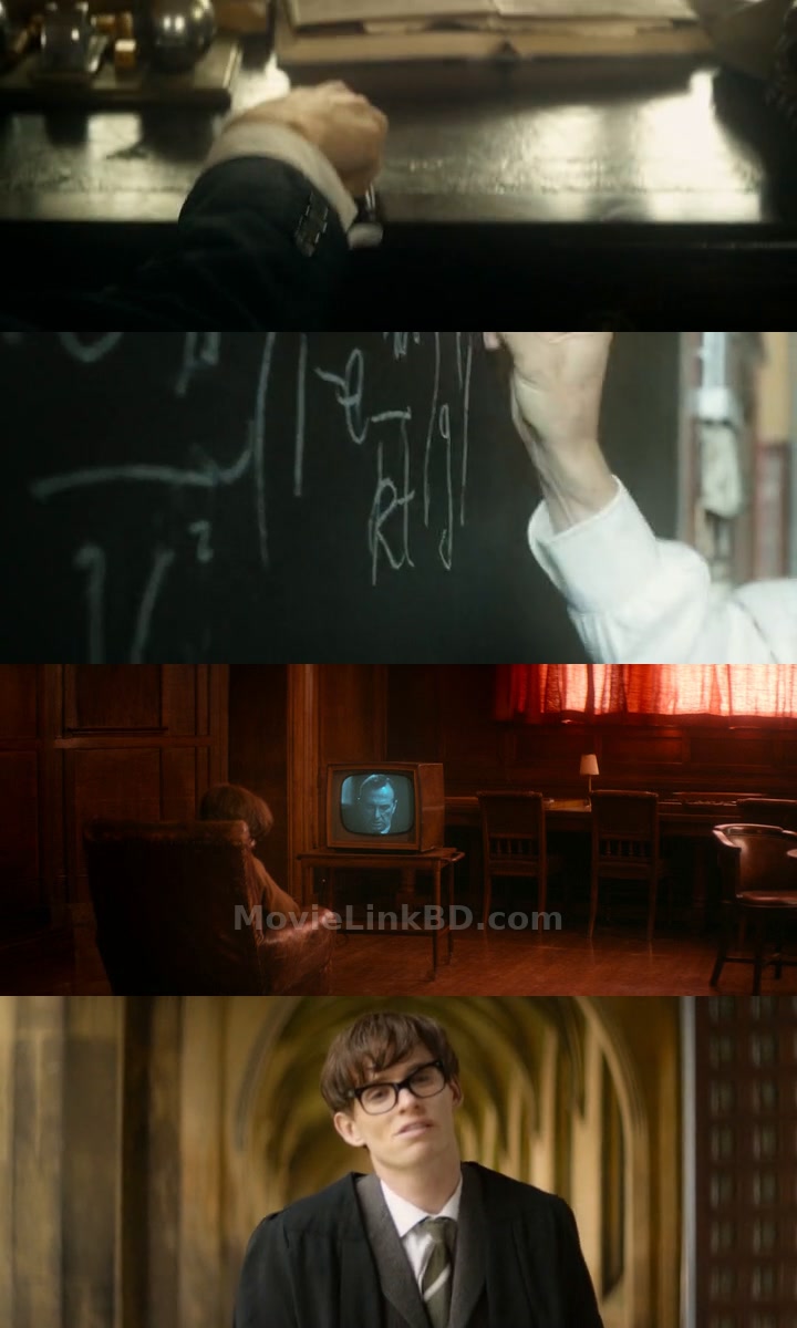 The Theory of Everything (2014) &bull; Hindi, korean, Dual Audio on MovieLinkBD Movie