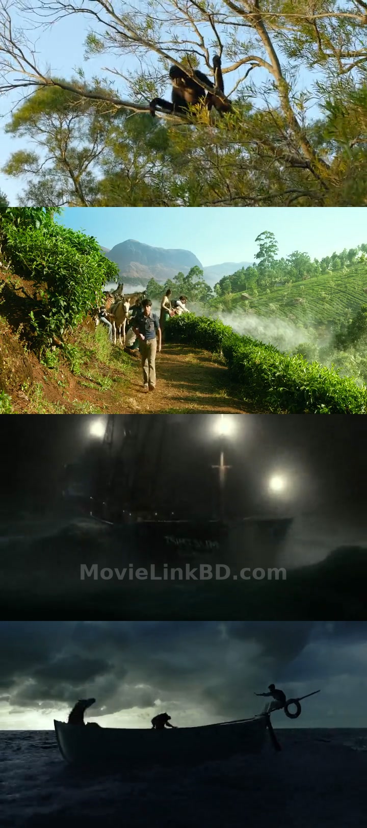 Life of Pi (2012) &bull; Dual Audio on MovieLinkBD Movie