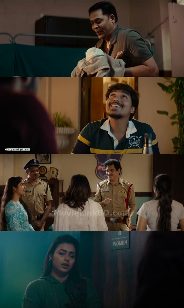 Alanaati Ramachandrudu  [ORG Hindi] (2024) &bull; Hindi, Telugu Dual Audio on MovieLinkBD Movie