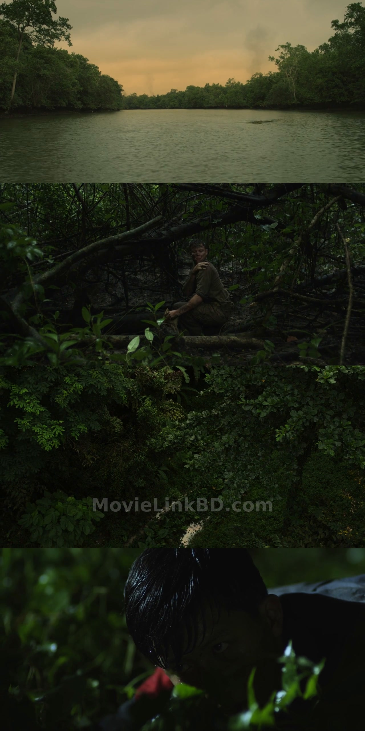 Canopy (2013) &bull; Hindi, English Dual Audio on MovieLinkBD Movie