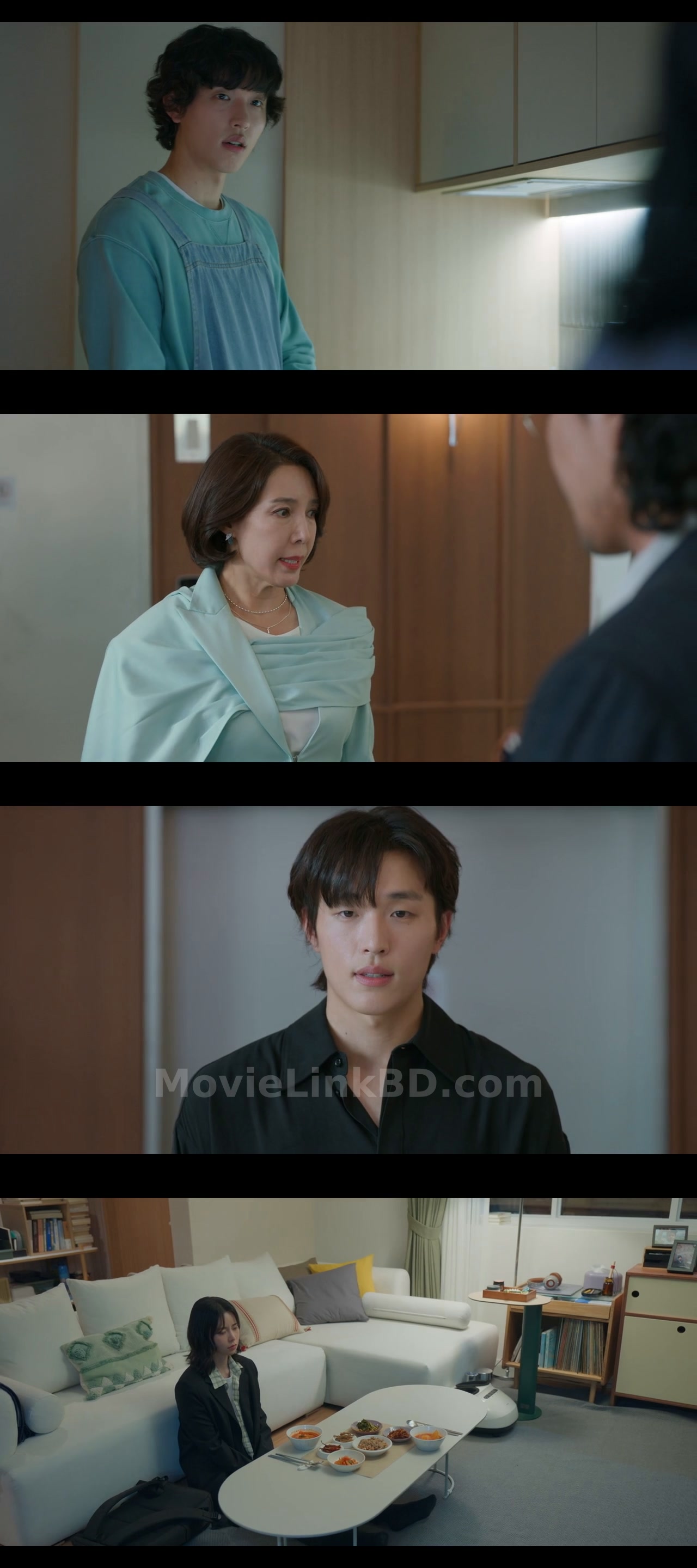 Nice to Not Meet You  [S01 Epi 1-15 ] S01 Completed [ Hindi ORG] (2025) &mdash; S01 &bull; Hindi, Korean, Multi Audio on MovieLinkBD Episode 6