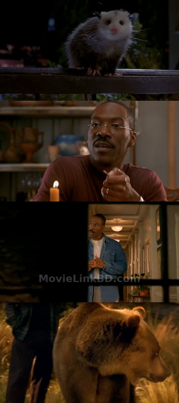Dr Dolittle 2 (2001) &bull; English + Hindi + Dual Audio on MovieLinkBD Movie