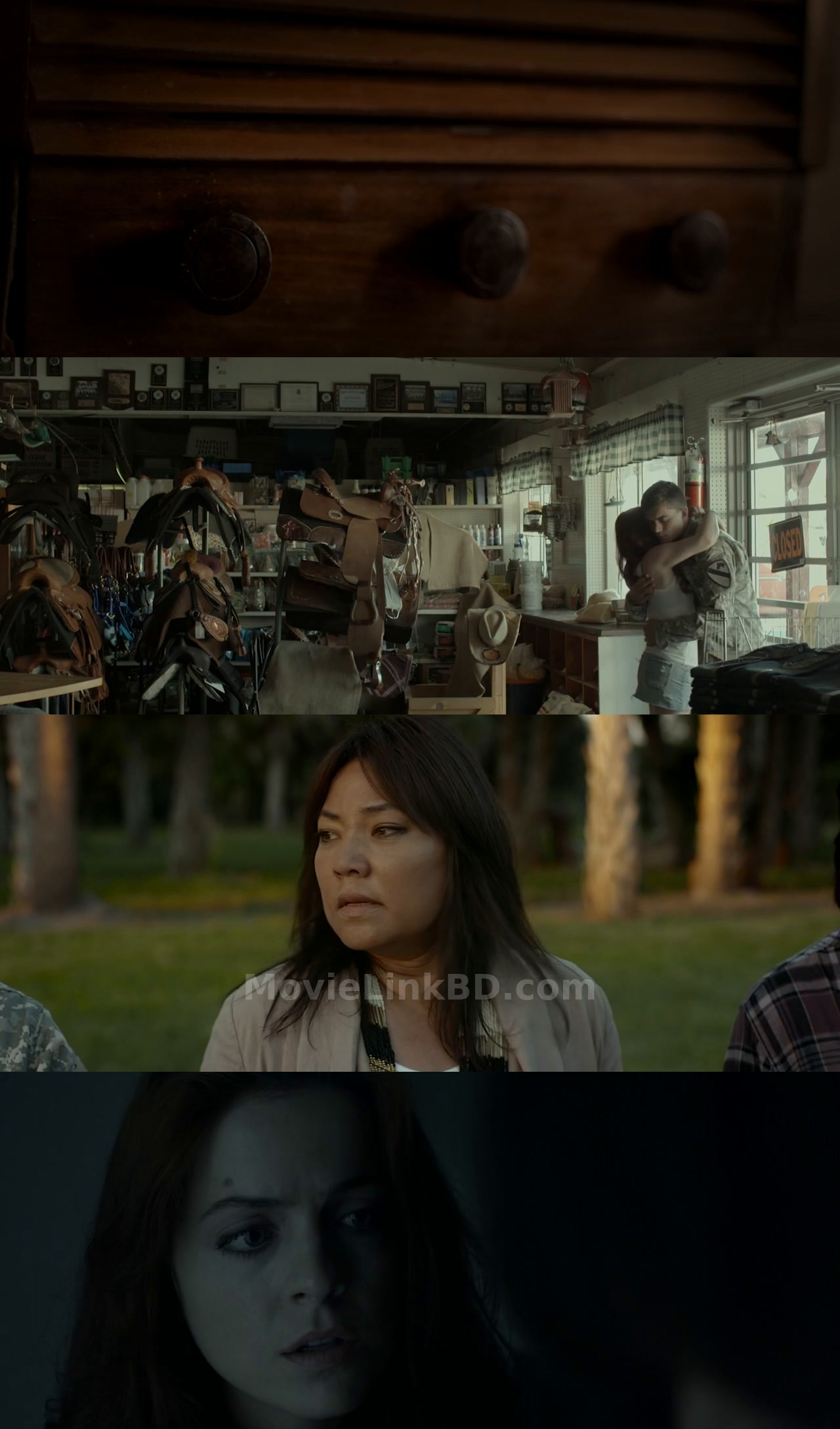 Wind Walkers (2015) &bull; English + Hindi on MovieLinkBD Movie