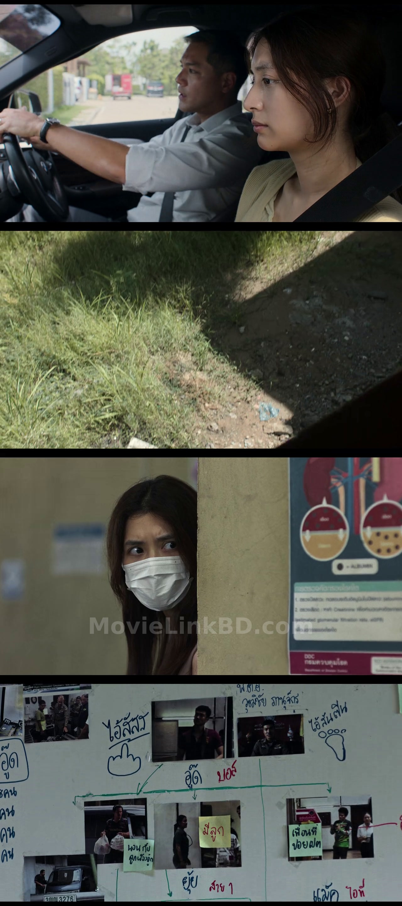 The Red Line (2026) &bull; Thai + Hindi on MovieLinkBD Movie