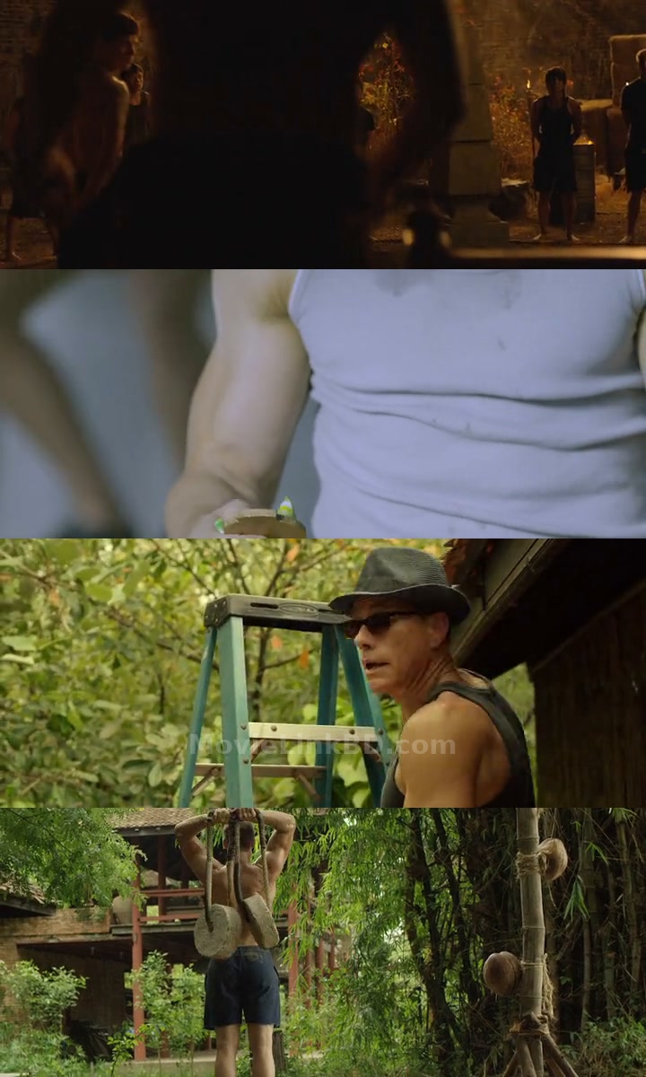 Kickboxer: Vengeance  Full HD Hindi ORG (2016) &bull; Hindi + English + Dual Audio on MovieLinkBD Movie