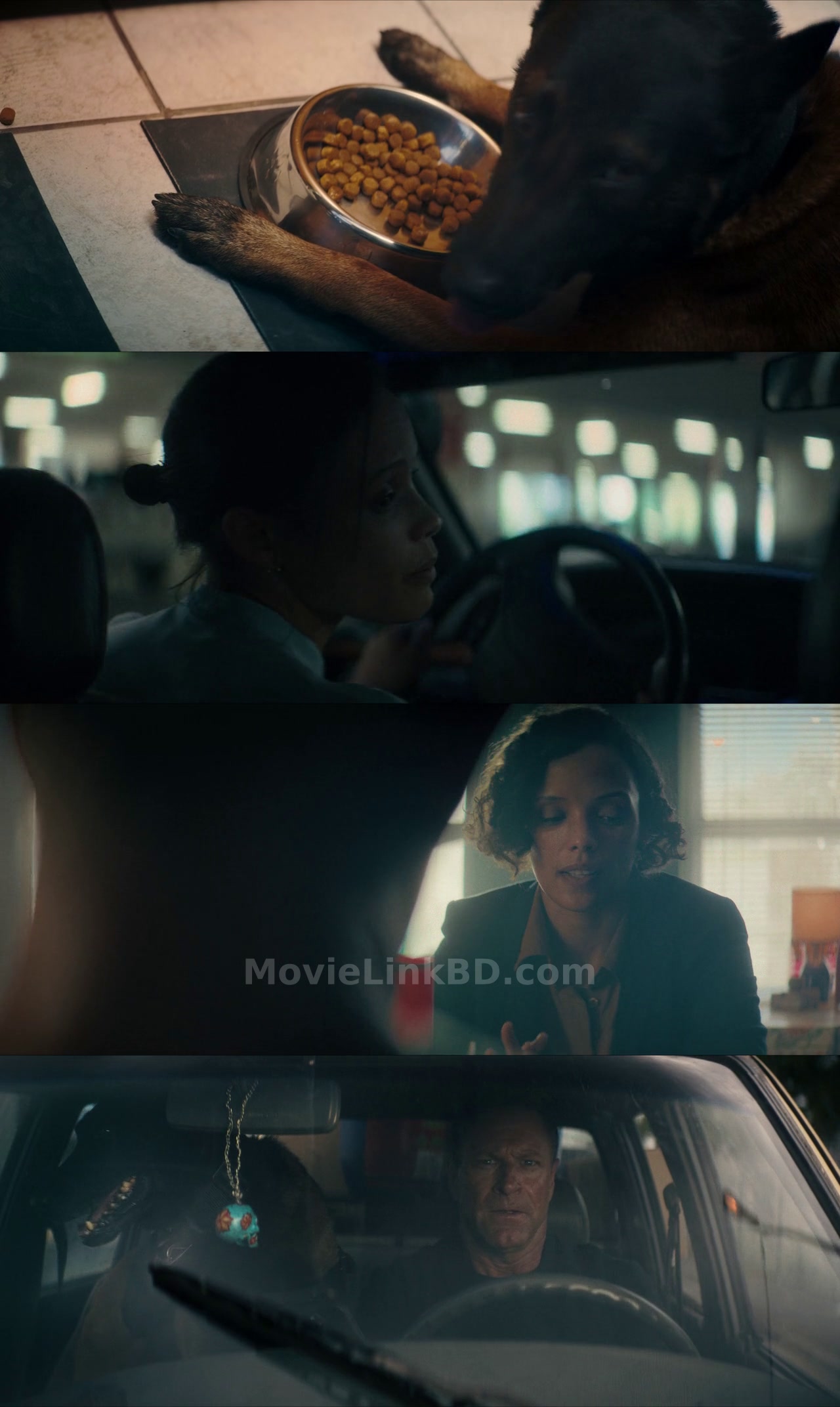 Muzzle: City of Wolves (2025) &bull; English + Hindi on MovieLinkBD Movie