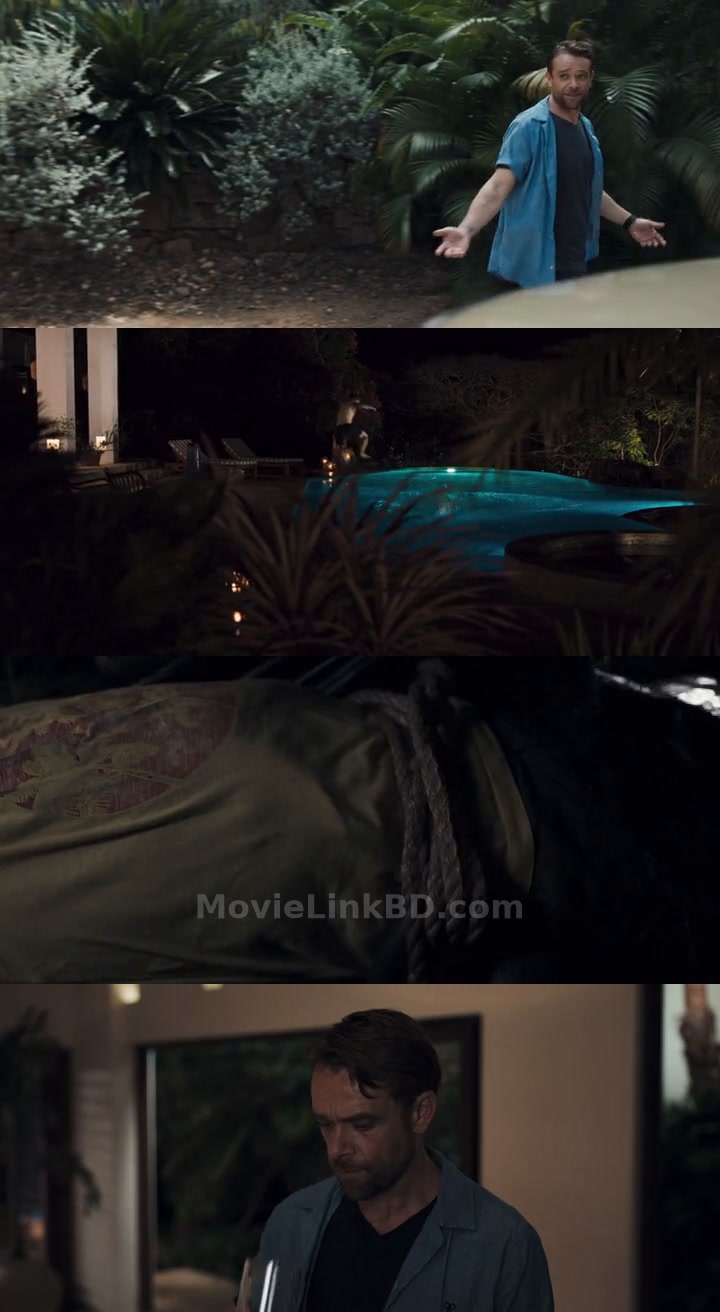 What You Wish For (2023) &bull; English + Hindi on MovieLinkBD Movie