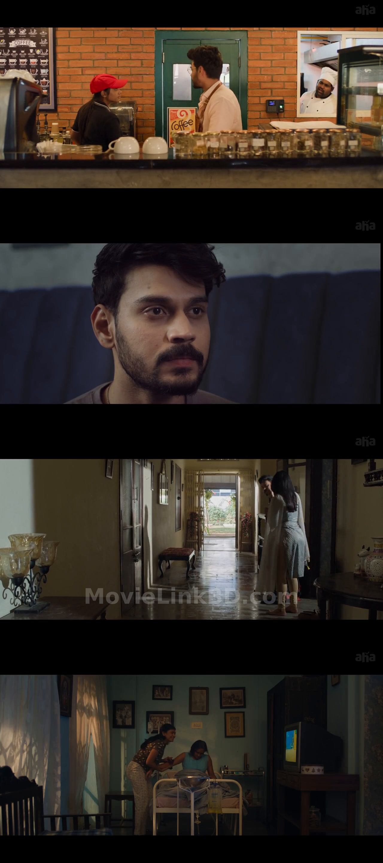 The Great Indian Suicide  Hindi ORG (2023) &bull; Hindi + Telugu on MovieLinkBD Movie