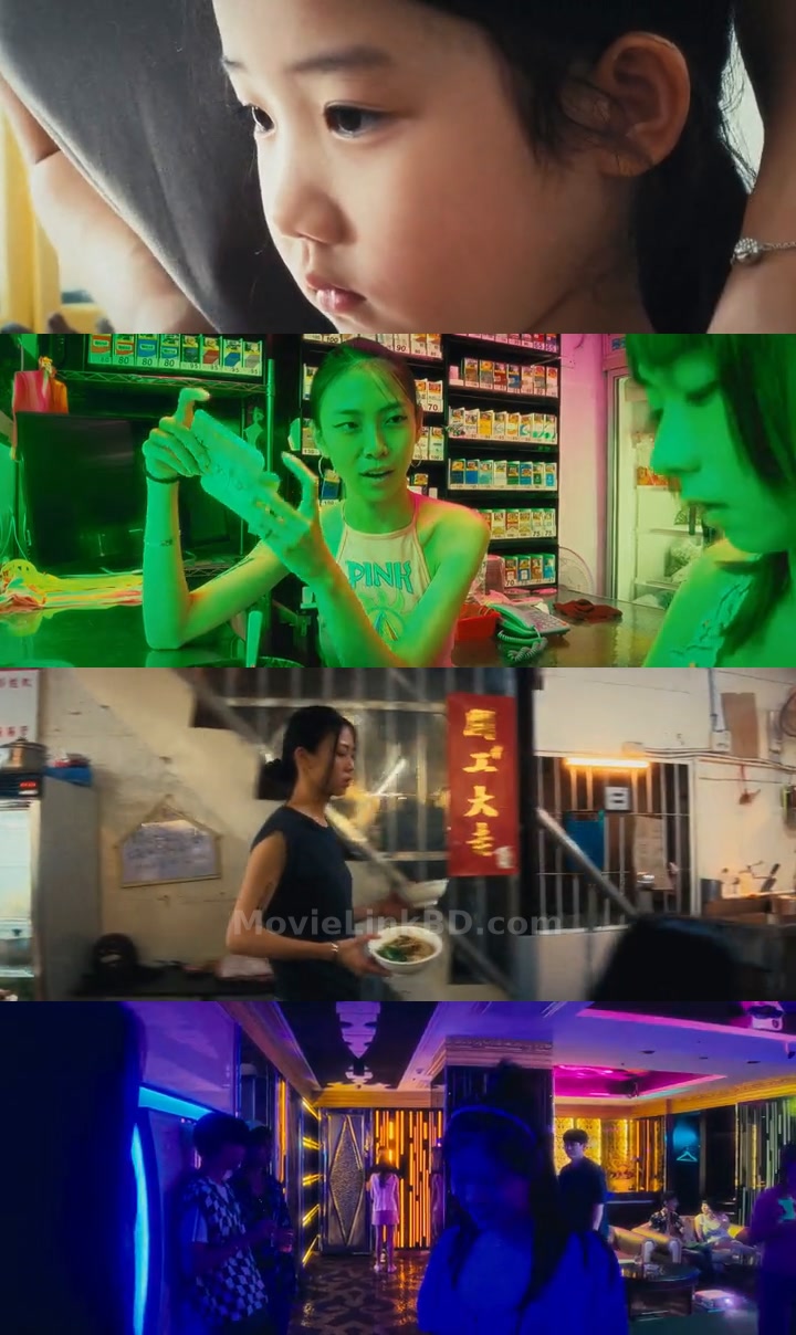 Left-Handed Girl (2025) &bull; Chinese + English on MovieLinkBD Movie