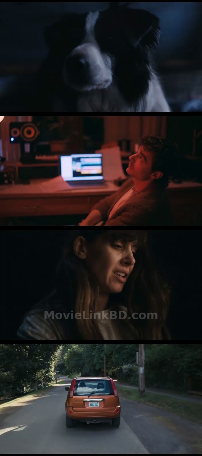 Together (2025) &bull; English + Hindi on MovieLinkBD Movie