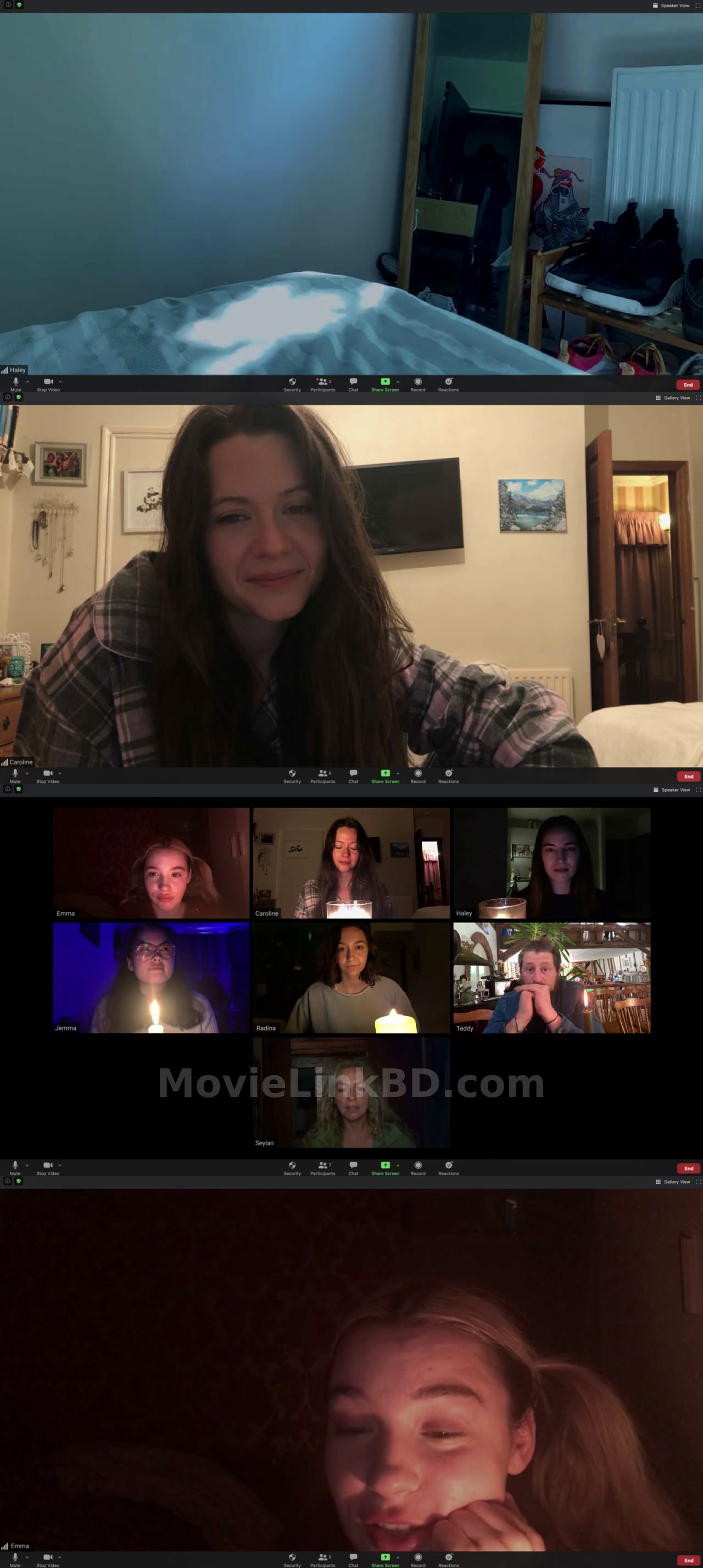 Host (2020) &bull; English + Hindi on MovieLinkBD Movie