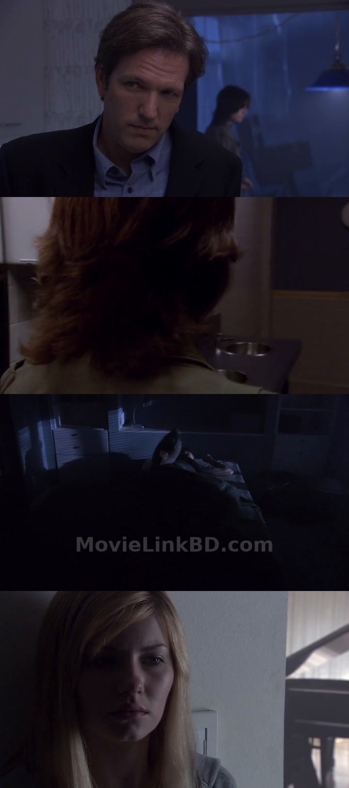 The Quiet (2005) &bull; English + Hindi on MovieLinkBD Movie