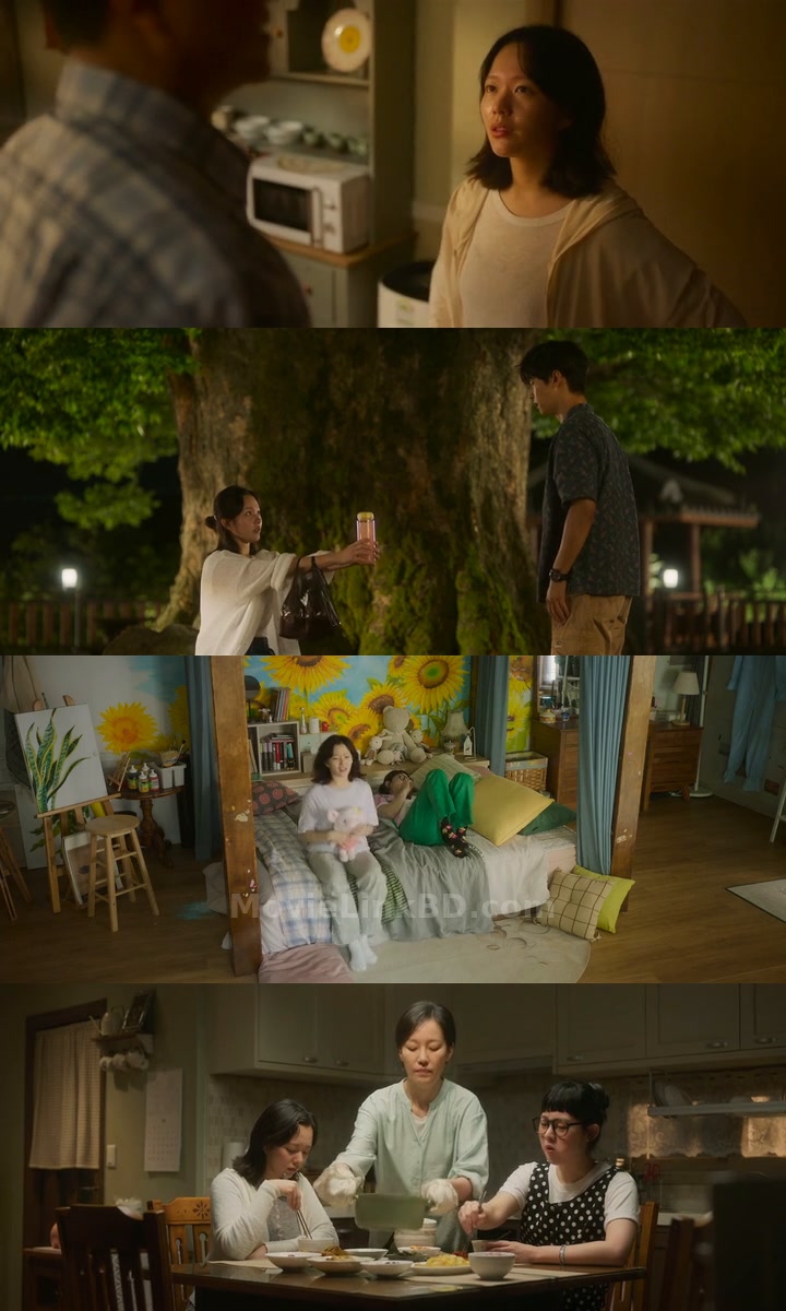 Midnight Sun  [ORG Hindi] (2025) &bull; Hindi, Korean Dual Audio on MovieLinkBD Movie