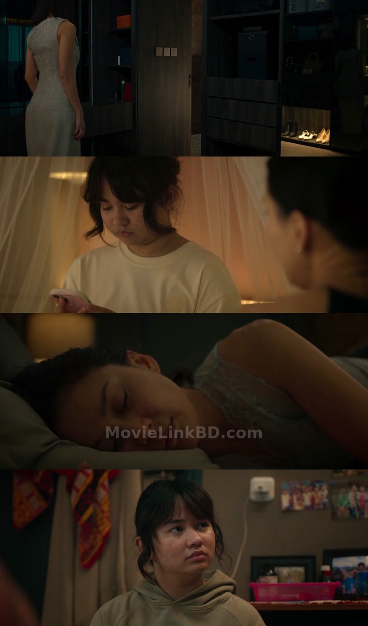 A Normal Woman (2025) Indonesian Download | MovieLinkBD TV Movie