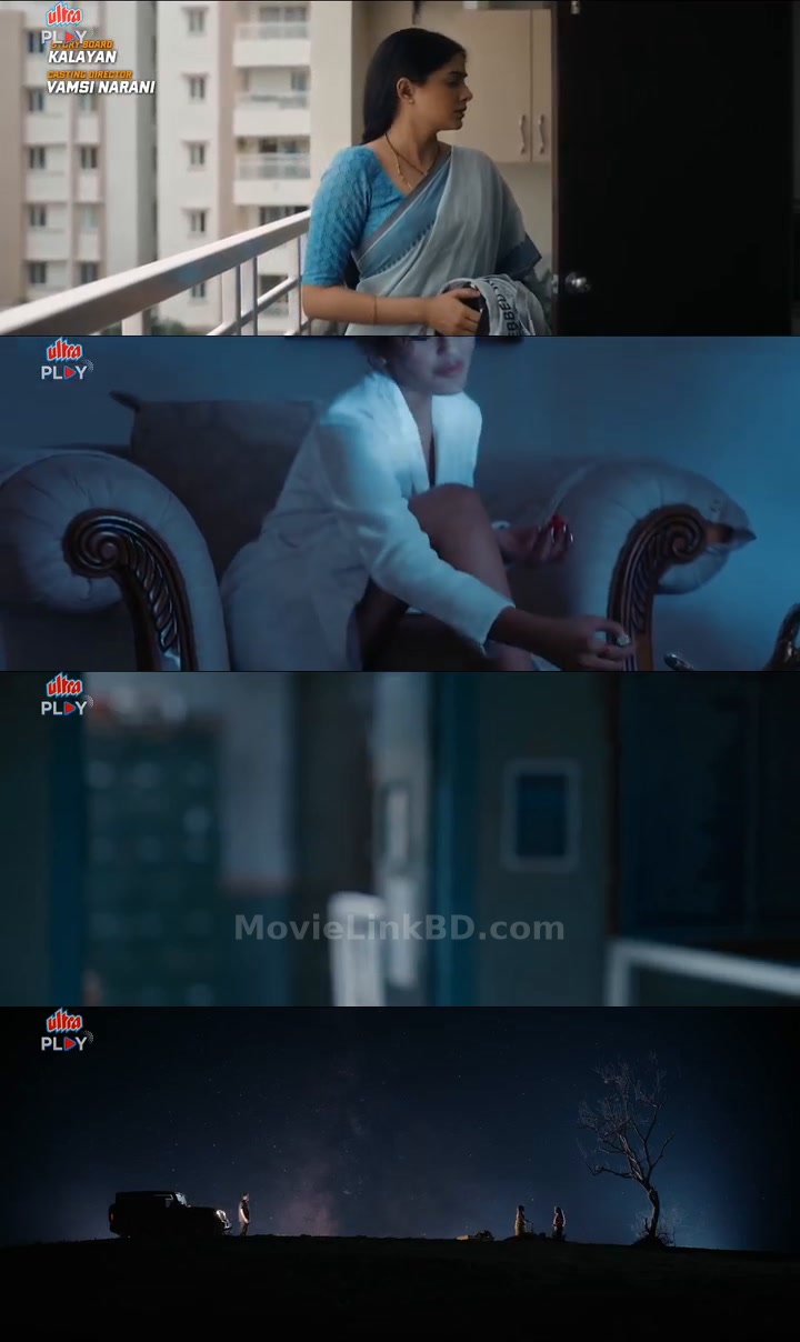 Bhamakalapam 2 / Khiladi Housewife 2  [ORG Hindi] (2024) &bull; Hindi Dubbed on MovieLinkBD Movie