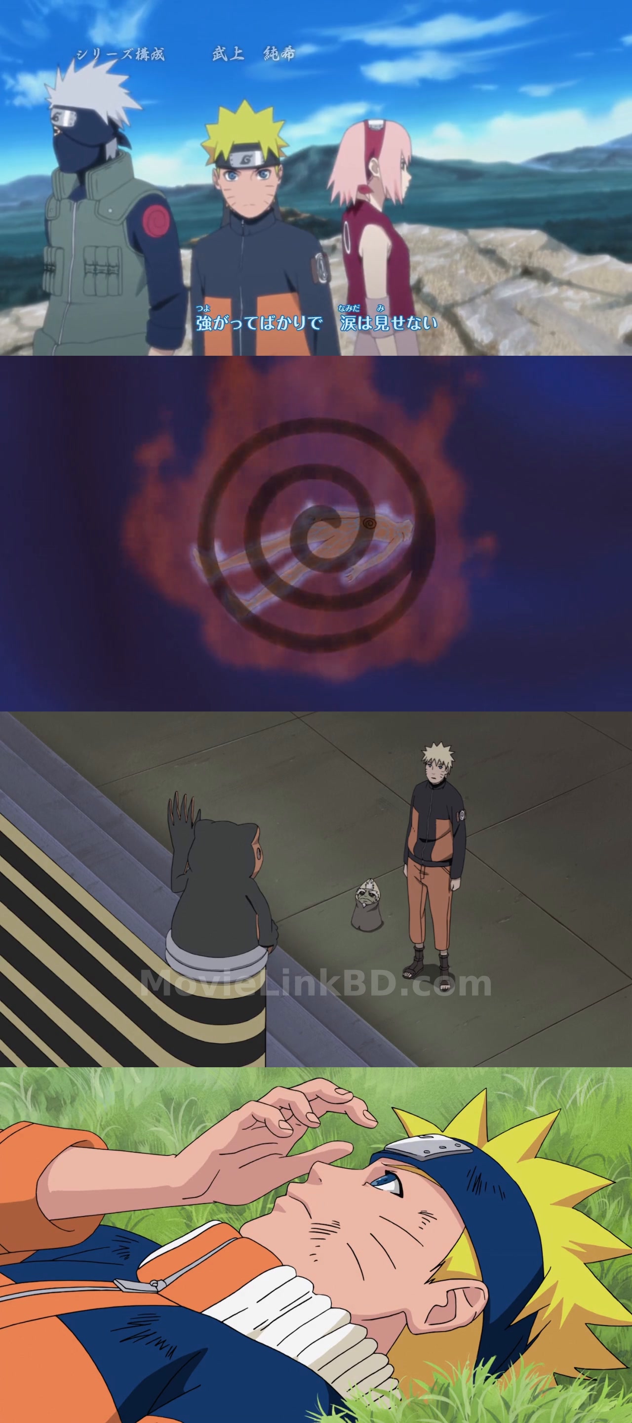 Naruto: Shippuden  S011 Ep 221-242 Hindi Dubbed (2007) &mdash; S01 &bull; Hindi Dual Audio on MovieLinkBD Season 10 Episode 221 Last পর্ব