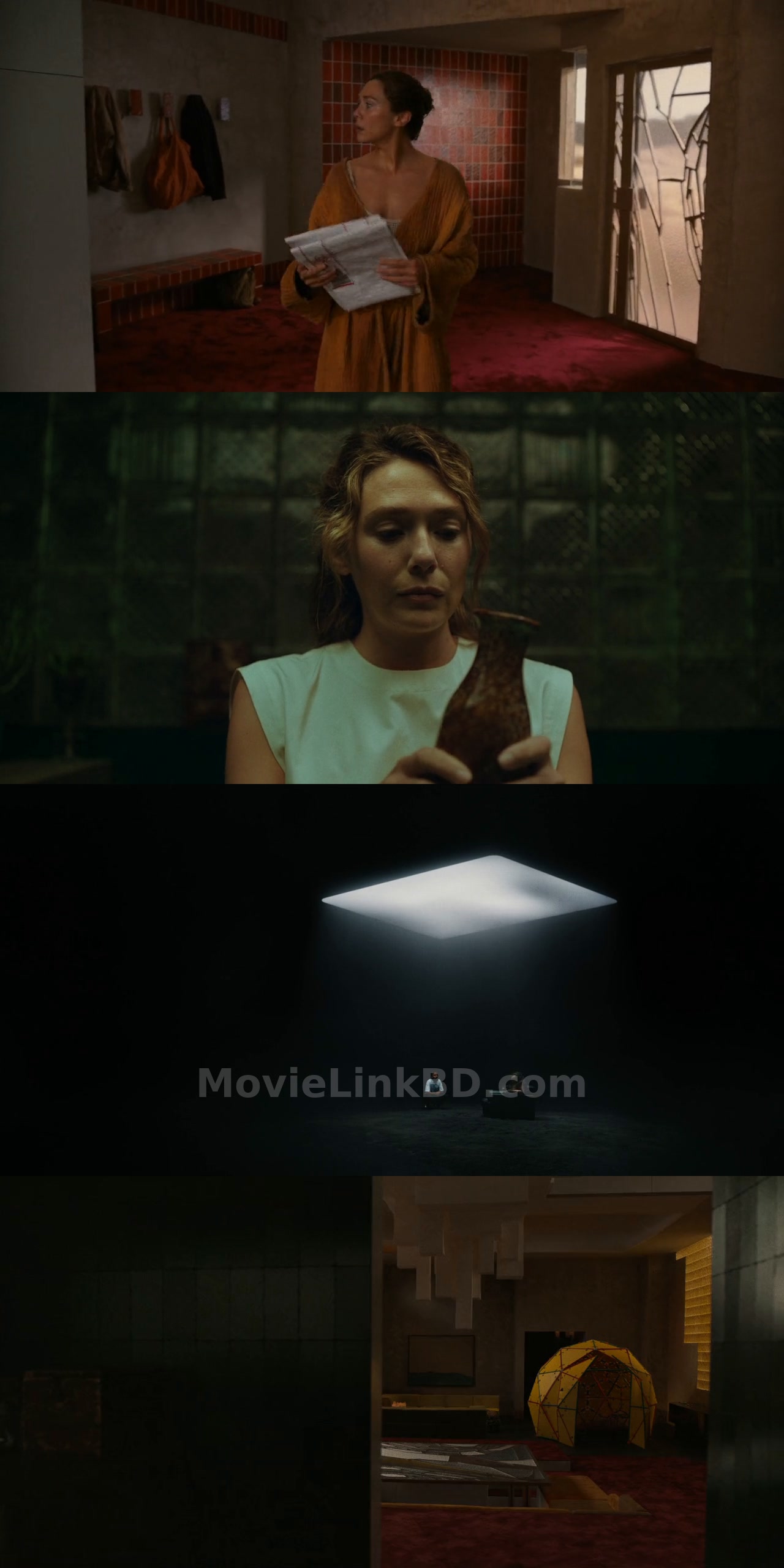 The Assessment  [ ORG HINDI] (2024) &bull; Hindi, English, Dual Audio on MovieLinkBD Movie