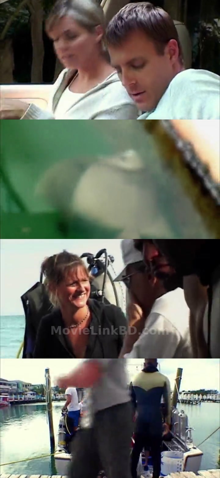 Open Water (2003) &bull; Hindi, English Dual Audio on MovieLinkBD Movie