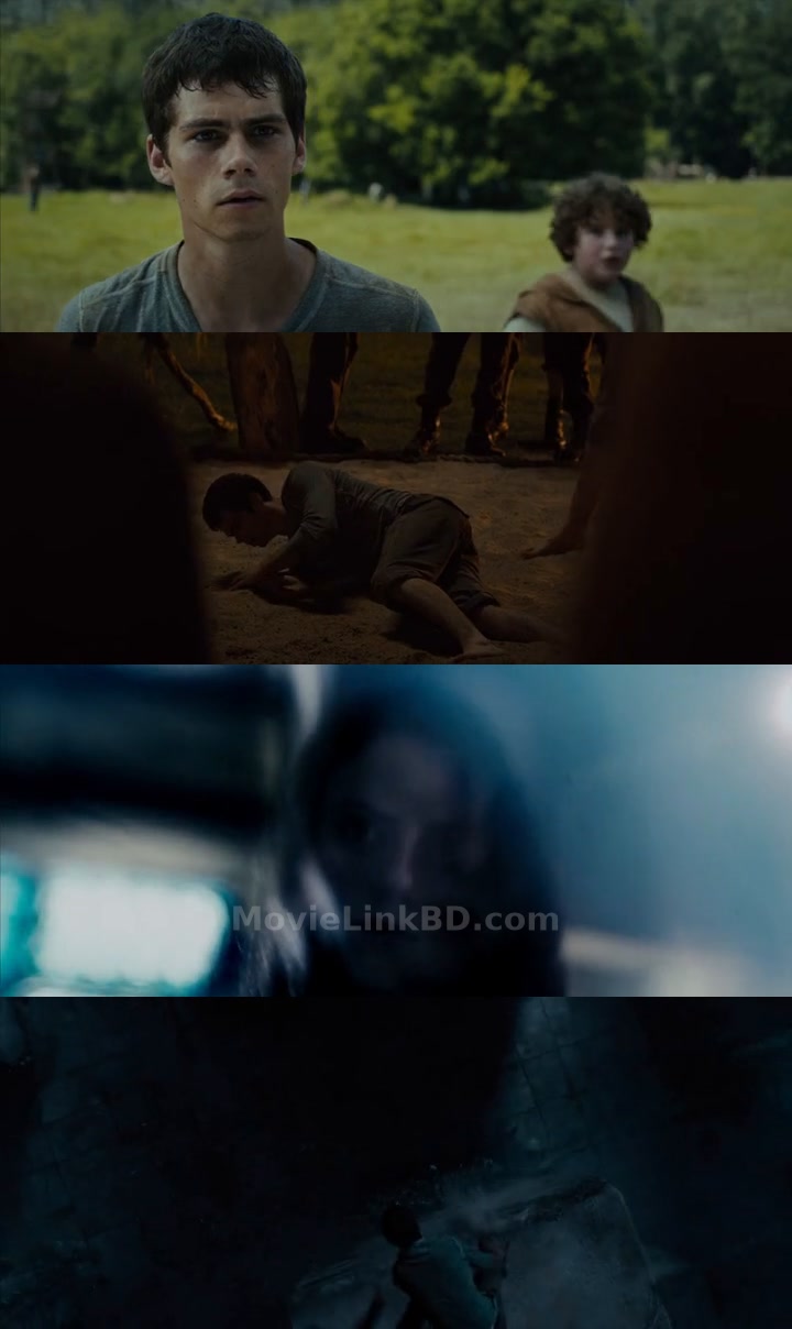 The Maze Runner (2014) English Download | MovieLinkBD TV Movie