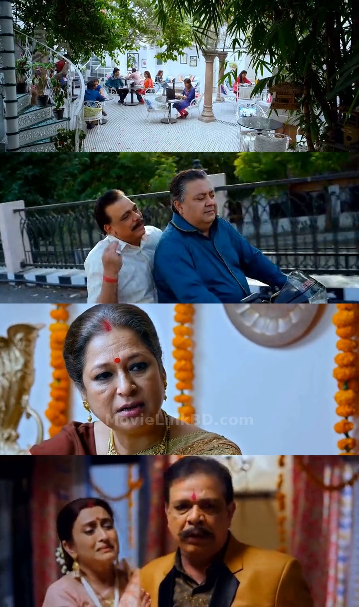 Shaadi Mein Zaroor Aana (2017) &bull; Hindi on MovieLinkBD Movie